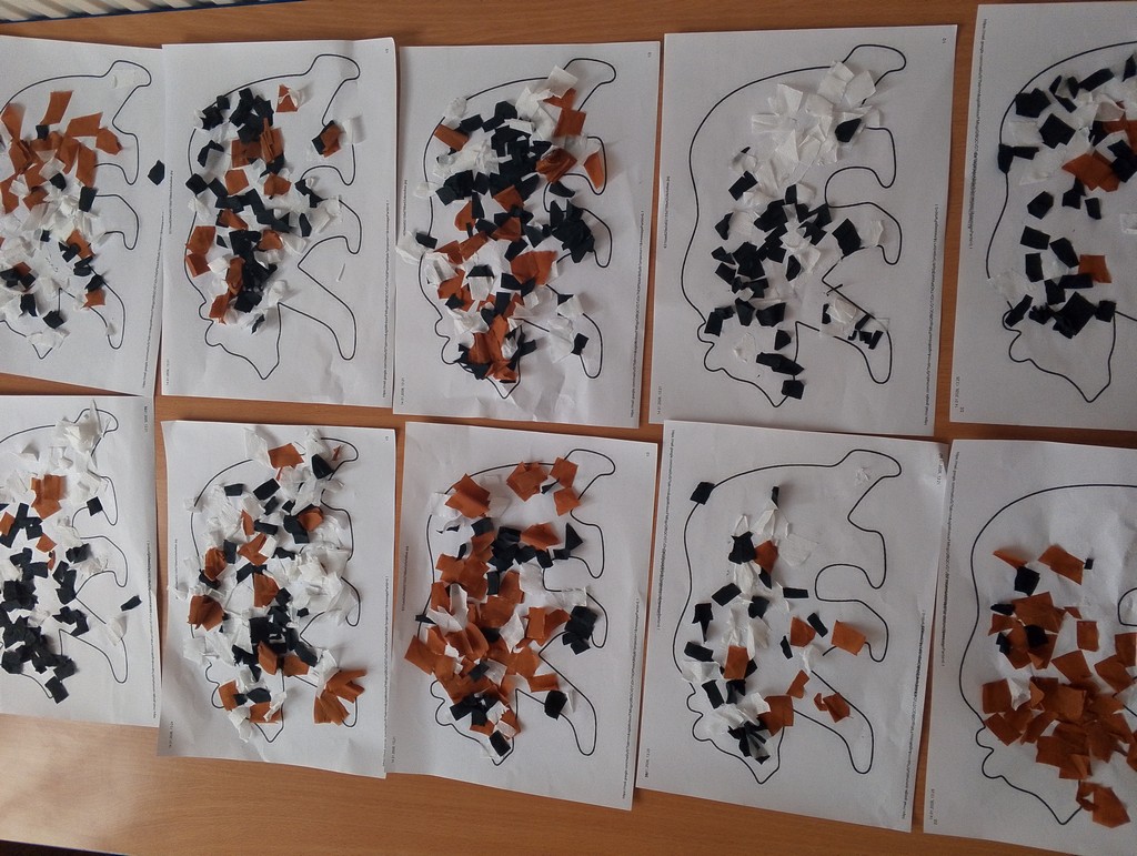 Niedźwiadki w roli głównej