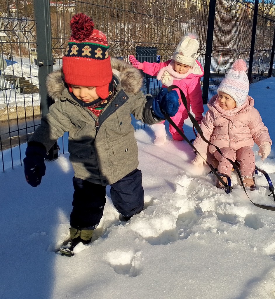 Zimowe spacery Motylków