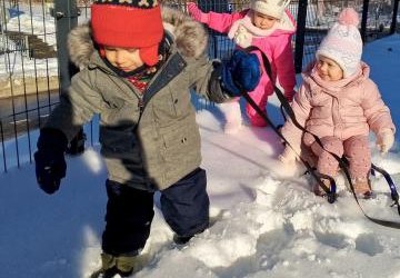 Zimowe spacery Motylków