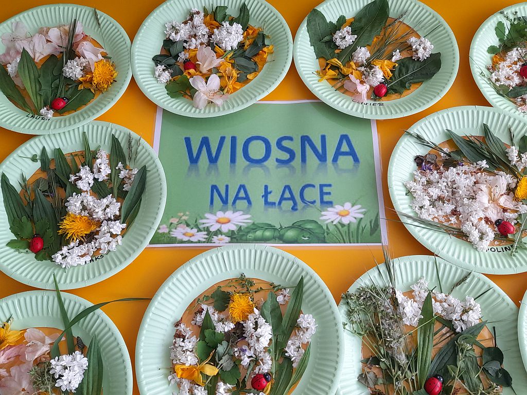 Wiosna na łące